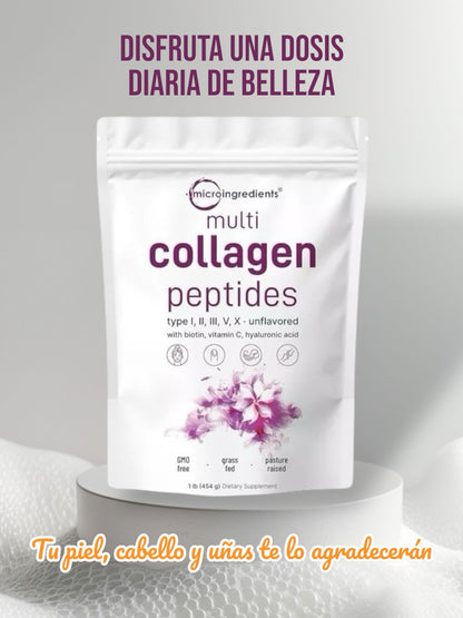 Microingredients® - Multi Colágeno con Peptidos 5 en 1 (COLAGENO TIPO 1-2-3-5-10)